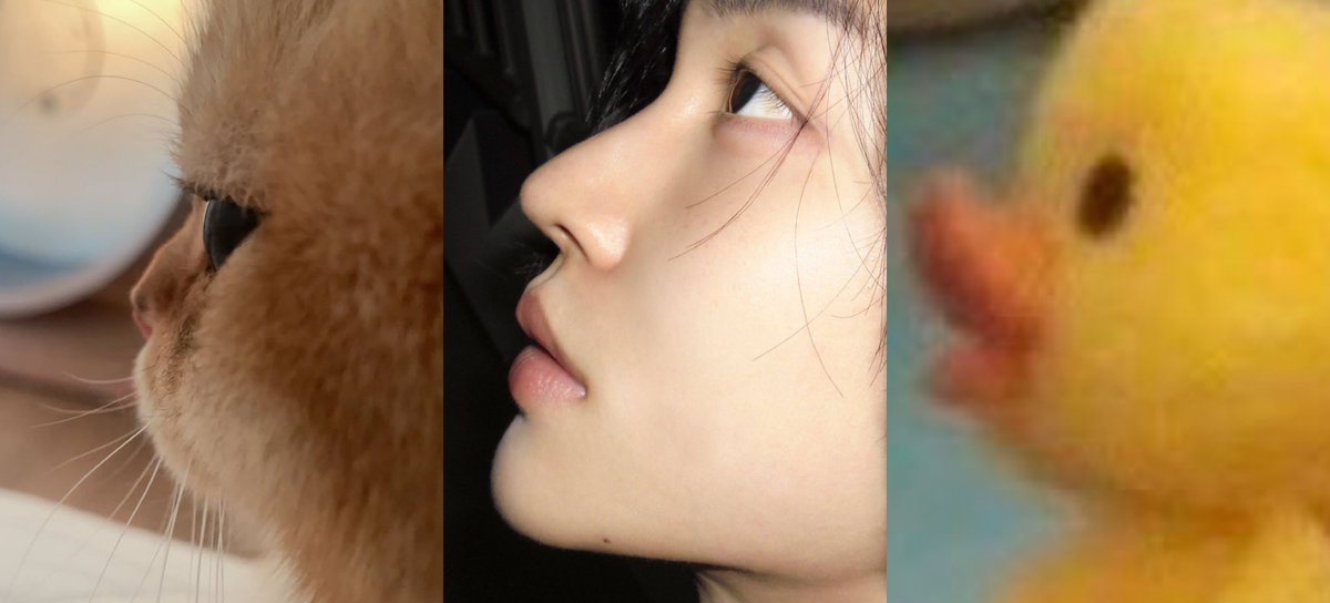 wongirlie's tweet photo. no difference https://t.co/cMAr3bZLw6