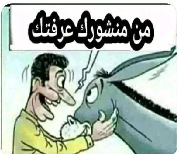 mnyr46337's tweet photo. @arabstan25 https://t.co/dADpapeQcl
