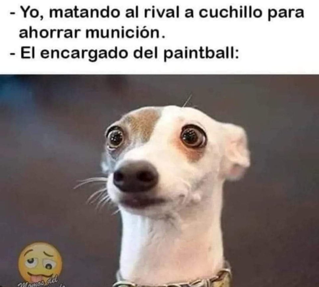 ymuchosmemes's tweet photo. https://t.co/gGU6TUVFOF
