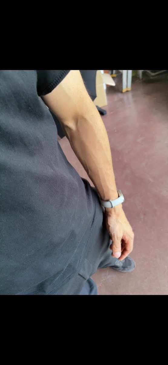 ginharu7's tweet photo. この腕でもまだ体脂肪19ある
15まで落としたい。アイスがうまい https://t.co/jzkwOqNxOa
