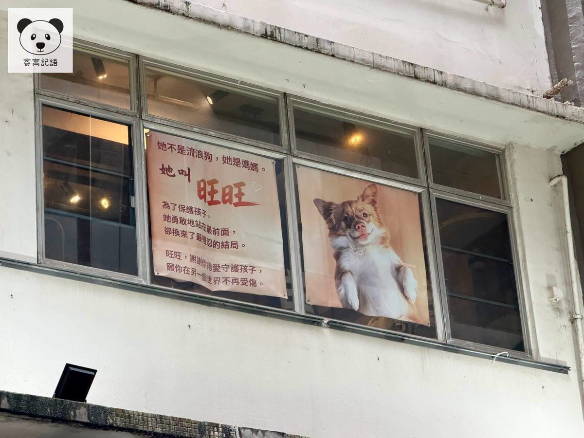 GweiloX's tweet photo. 香港拳館再掛揭陽旺旺海報為其發聲。 https://t.co/spbvjfsaar