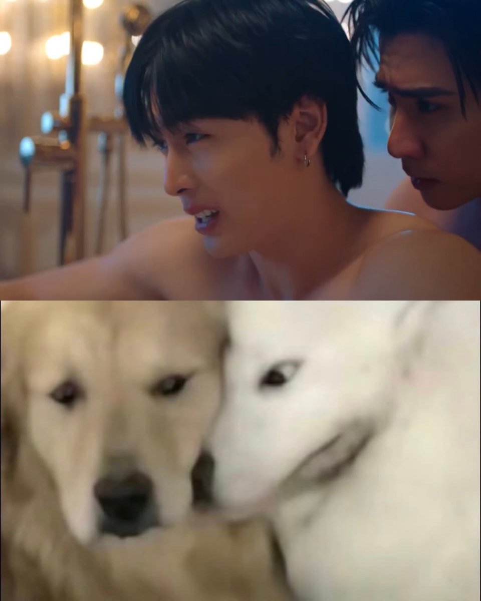 TrendforPS_TH's tweet photo. อารัญระวัง555555555555555555555555555555555555555555555

#PeachAndMeSeriesFinalEP 
#PerthSanta #เพิร์ธแซนต้า https://t.co/MAlbBe9ktN