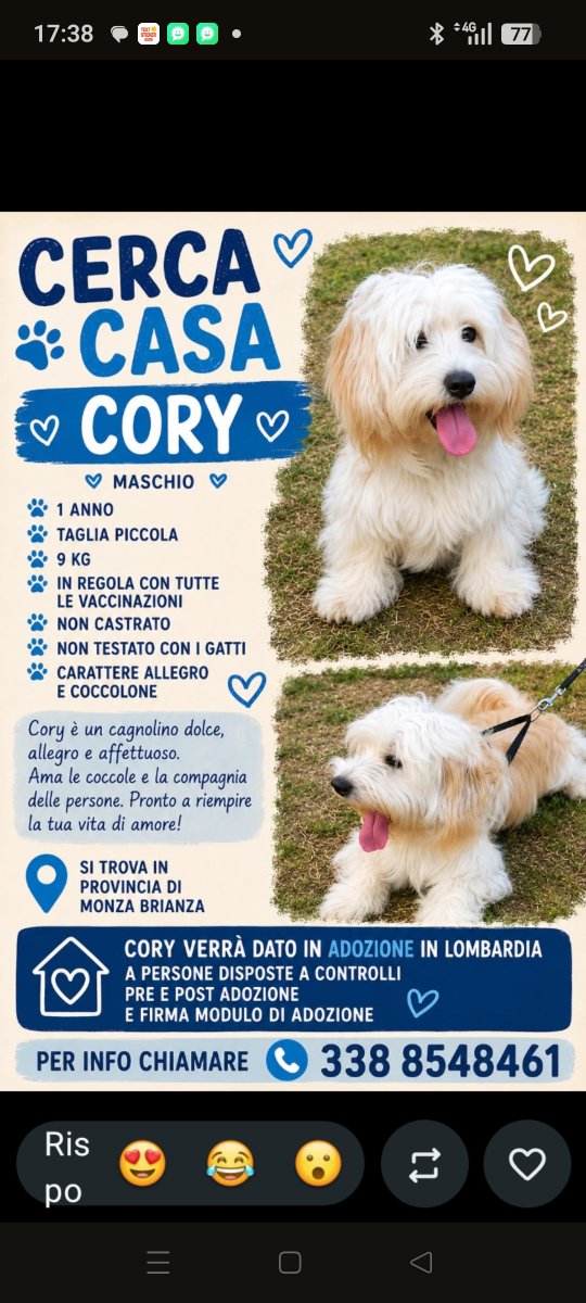 Emilystellaemi2's tweet photo. CORY CERCA CASA😂♥️♥️♥️♥️♥️♥️🙏🙏🙏🙏 https://t.co/YErlzDIX7o