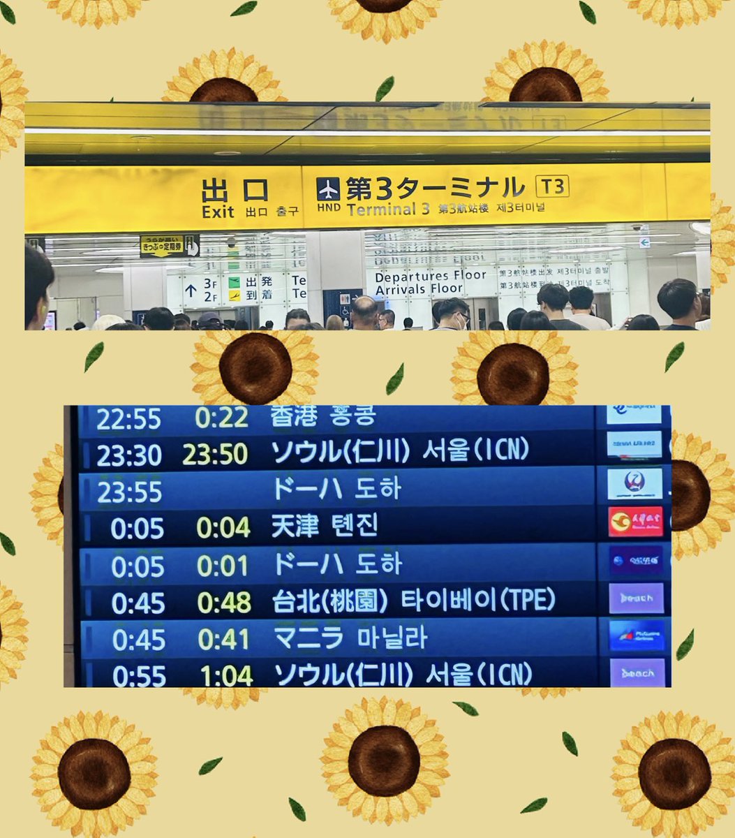 d24265's tweet photo. 真夜中に羽田空港へ🛬

子供達が夏休み日本で過ごせるよう送り出してくれた元夫に感謝🍉

私が夏休みと有給めいっぱい使って仕事休めるよう調整してくれた同僚達に感謝🌻

1年ぶりに
息子と娘を抱きしめられる！！！ https://t.co/9koeVOaL1j