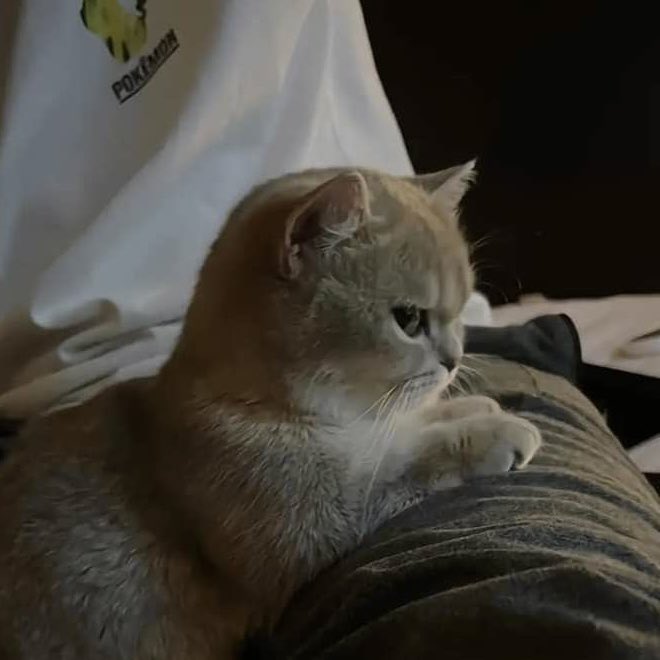 phuwijn's tweet photo. 😾😾😾😾 #PeachandMeSeriesFinalEP https://t.co/fznohYJB1h