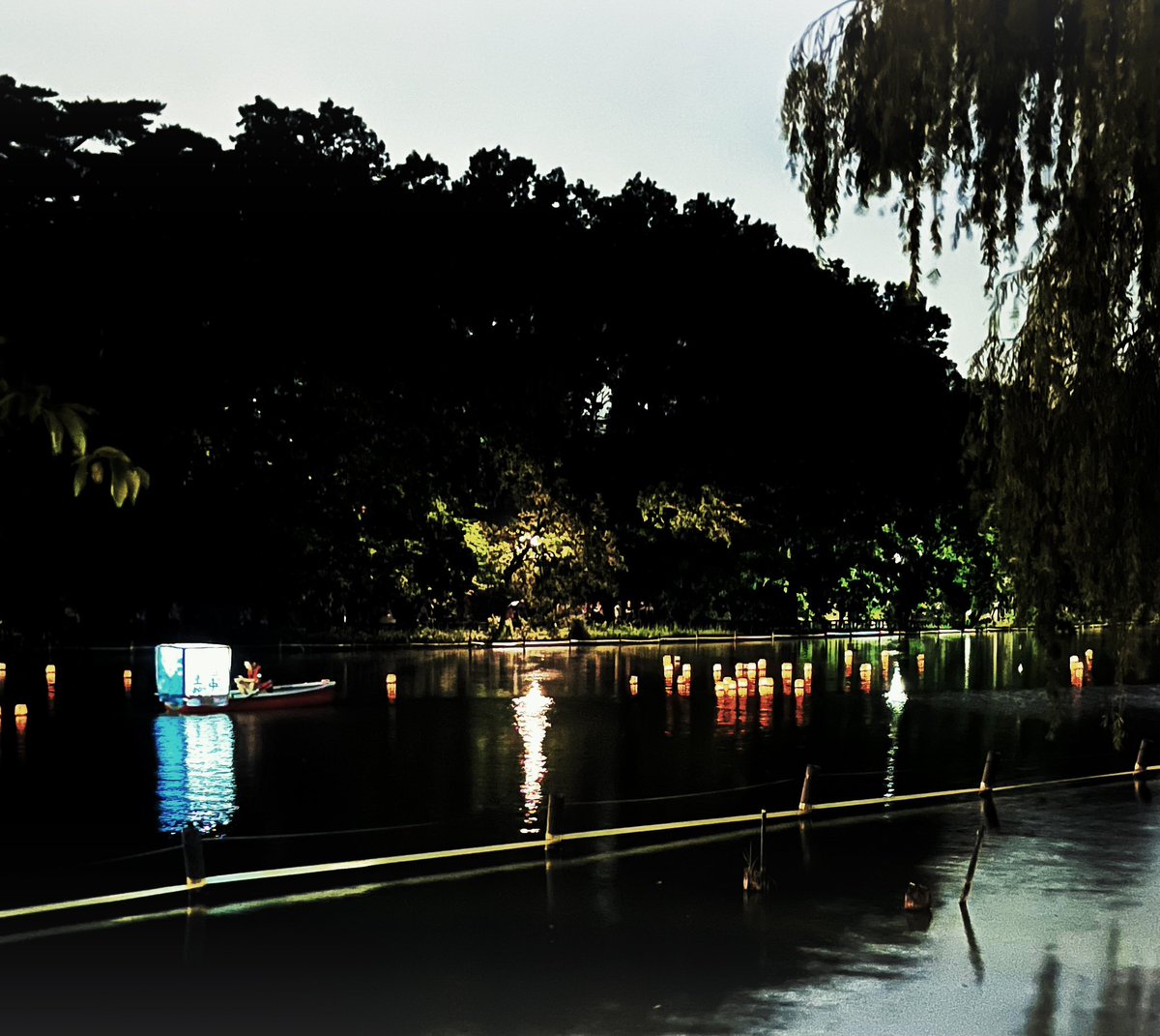 ninon_on's tweet photo. 石神井公園で灯籠流し。幻想的でした。今年は灯籠をひとつ買わせていただき、願いごとを書いて流してもらいました。見るだけでなく、参加できたのが喜び。 https://t.co/WJ2qH8B7Y8