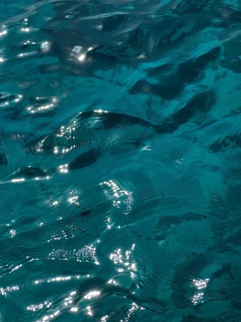 _Naturaee's tweet photo. calmness of blue 🌊 https://t.co/MSXjY2TxPx