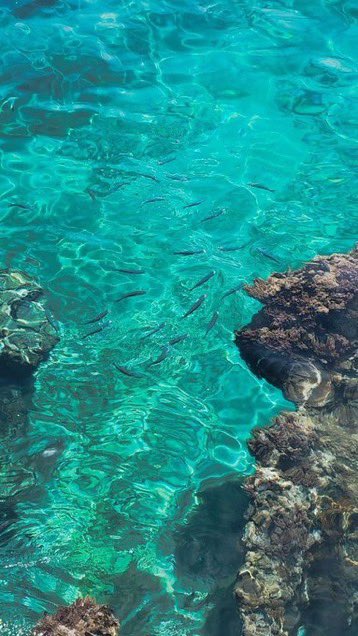 _Naturaee's tweet photo. calmness of blue 🌊 https://t.co/MSXjY2TxPx