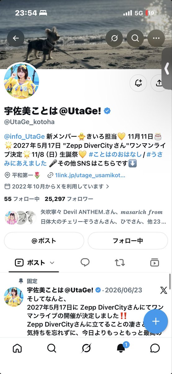 JOJO_りおん💙🌙/👻💚/🍣🦪 / 💜🐈‍⬛ tweet media