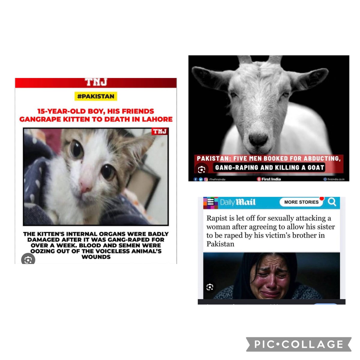 Alterego_nyk's tweet photo. &amp; don’t leave any single  goat ,cat ,animal,child or women either ….right 🇵🇰 ?? https://t.co/EY0fvEiEBW