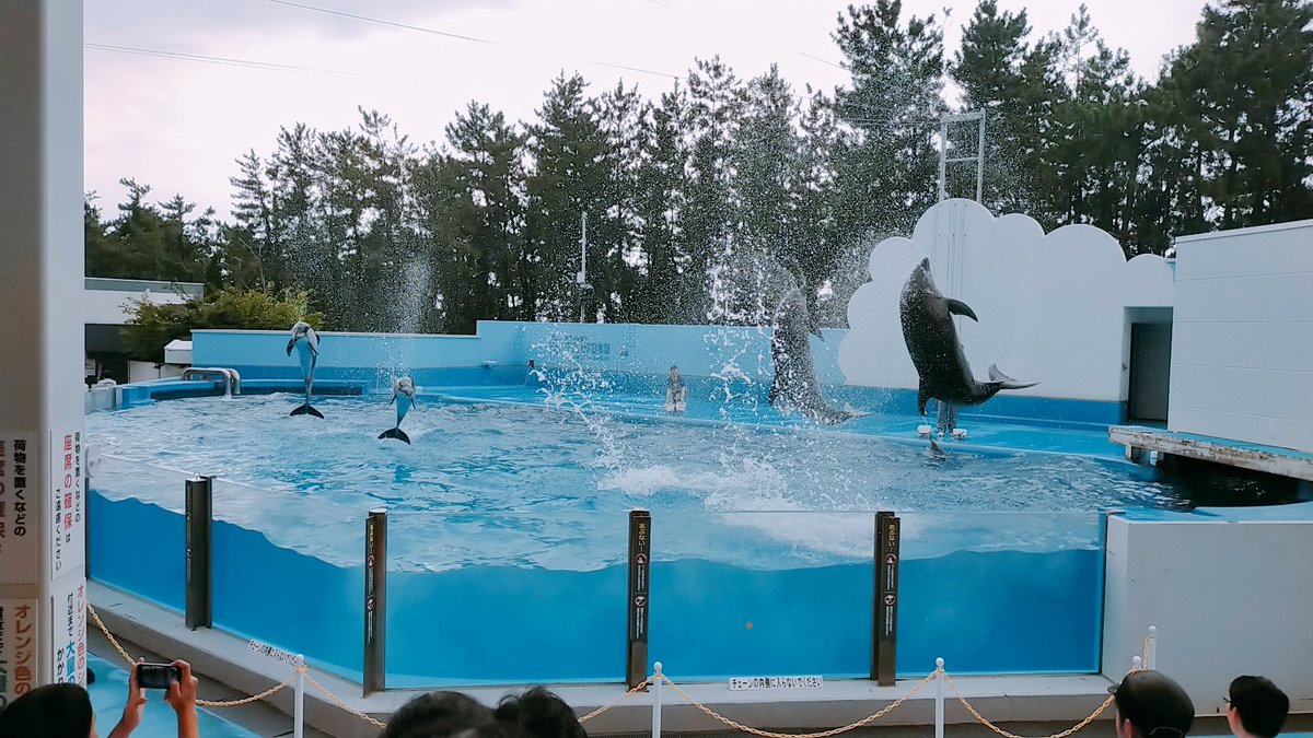 nemuke_shark_'s tweet photo. 今日は水族館に行って参りましたの
ド地元ですわ！ https://t.co/j6wdWgF40C