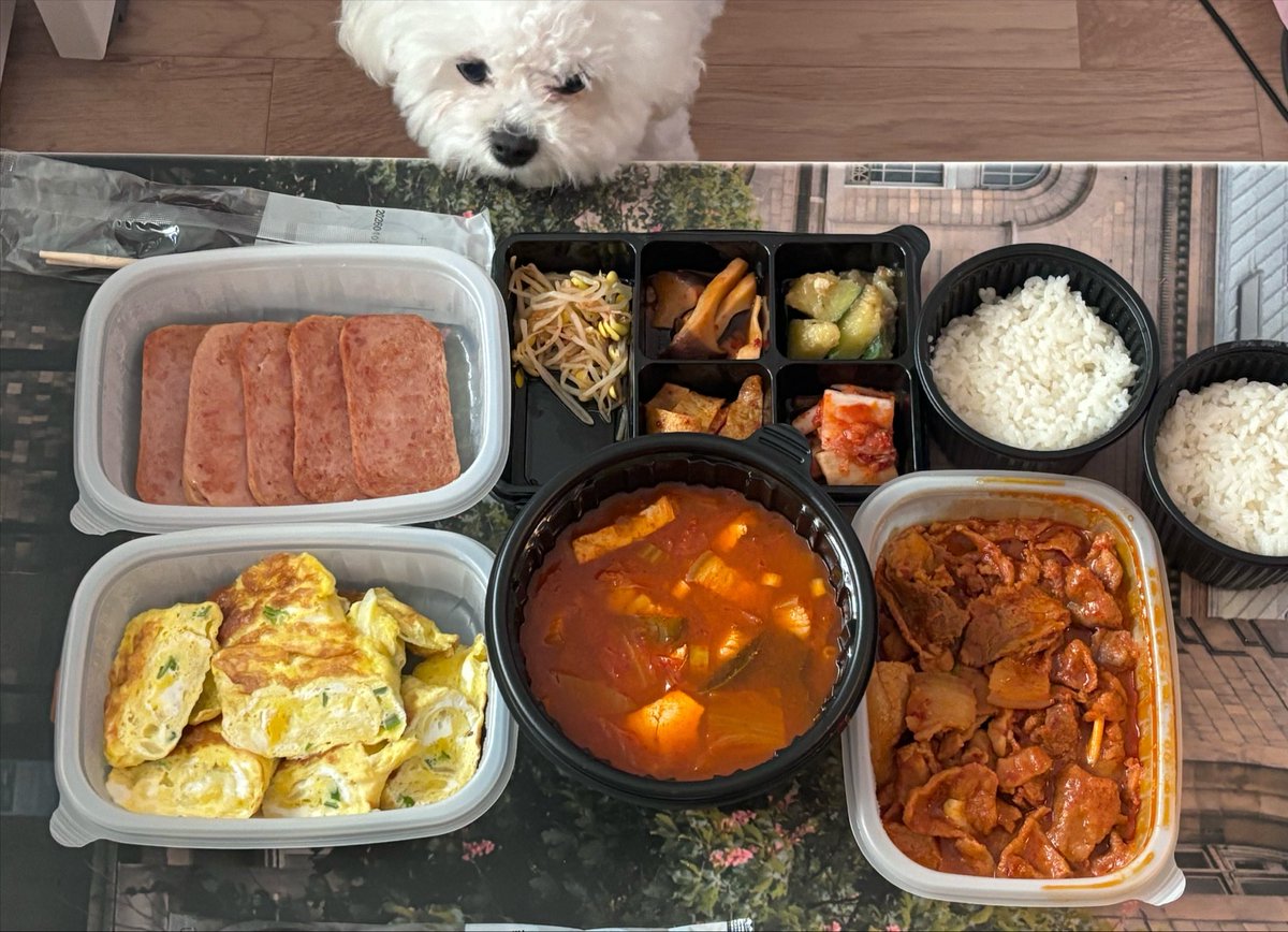 MeewMeeo's tweet photo. 오늘머근거자랑 https://t.co/fnLEj2J1uD