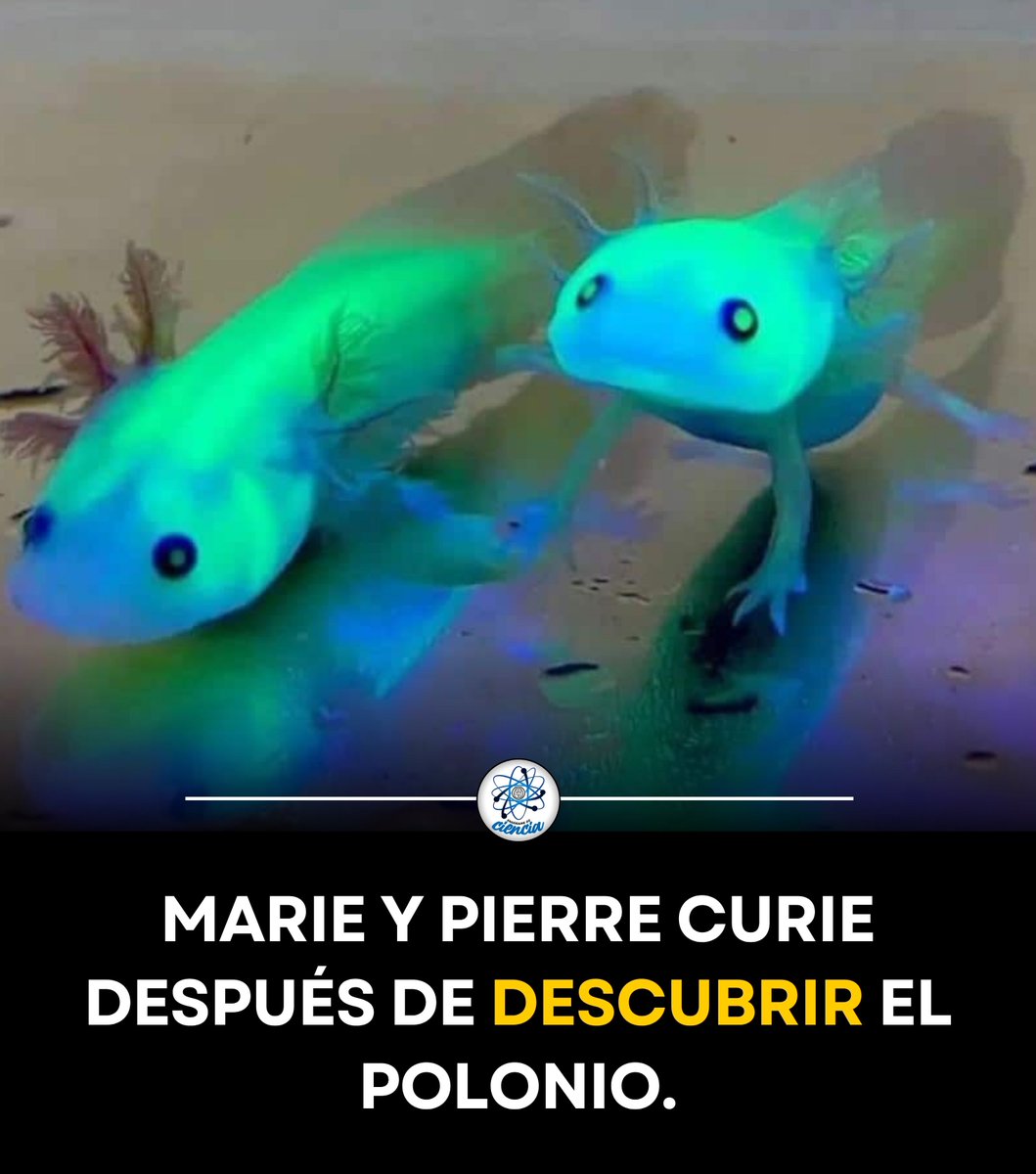 EnsedeCiencia's tweet photo. ¡Que radiantes! 😏 https://t.co/IzBmTy2Joc