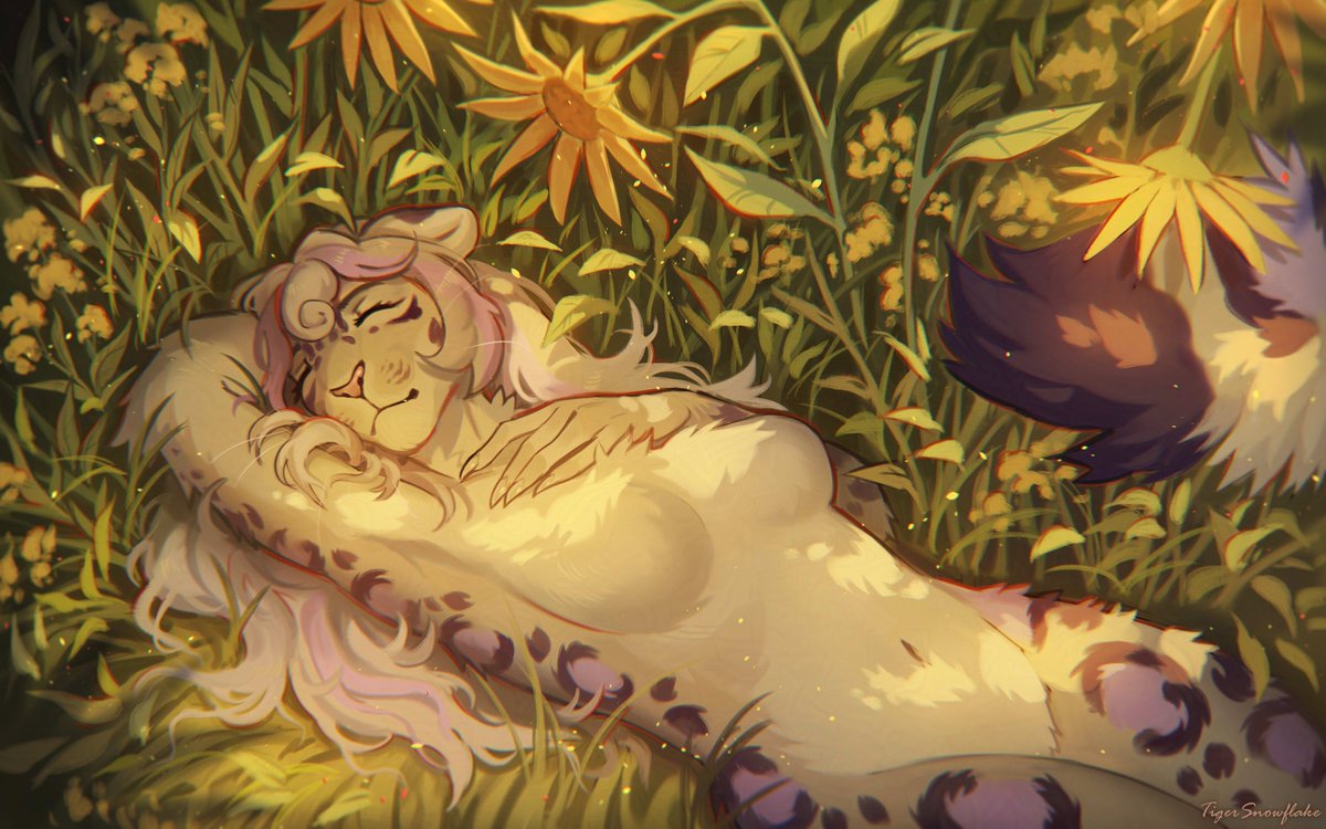 TigerSnowflake_'s tweet photo. Summer Slumber
Detailed commission for Aurora https://t.co/c37Zf3ozAw