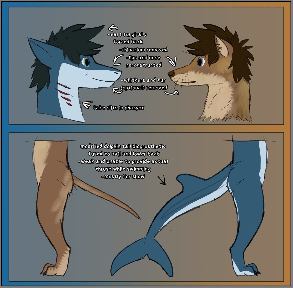 Evoincarnate tweet picture