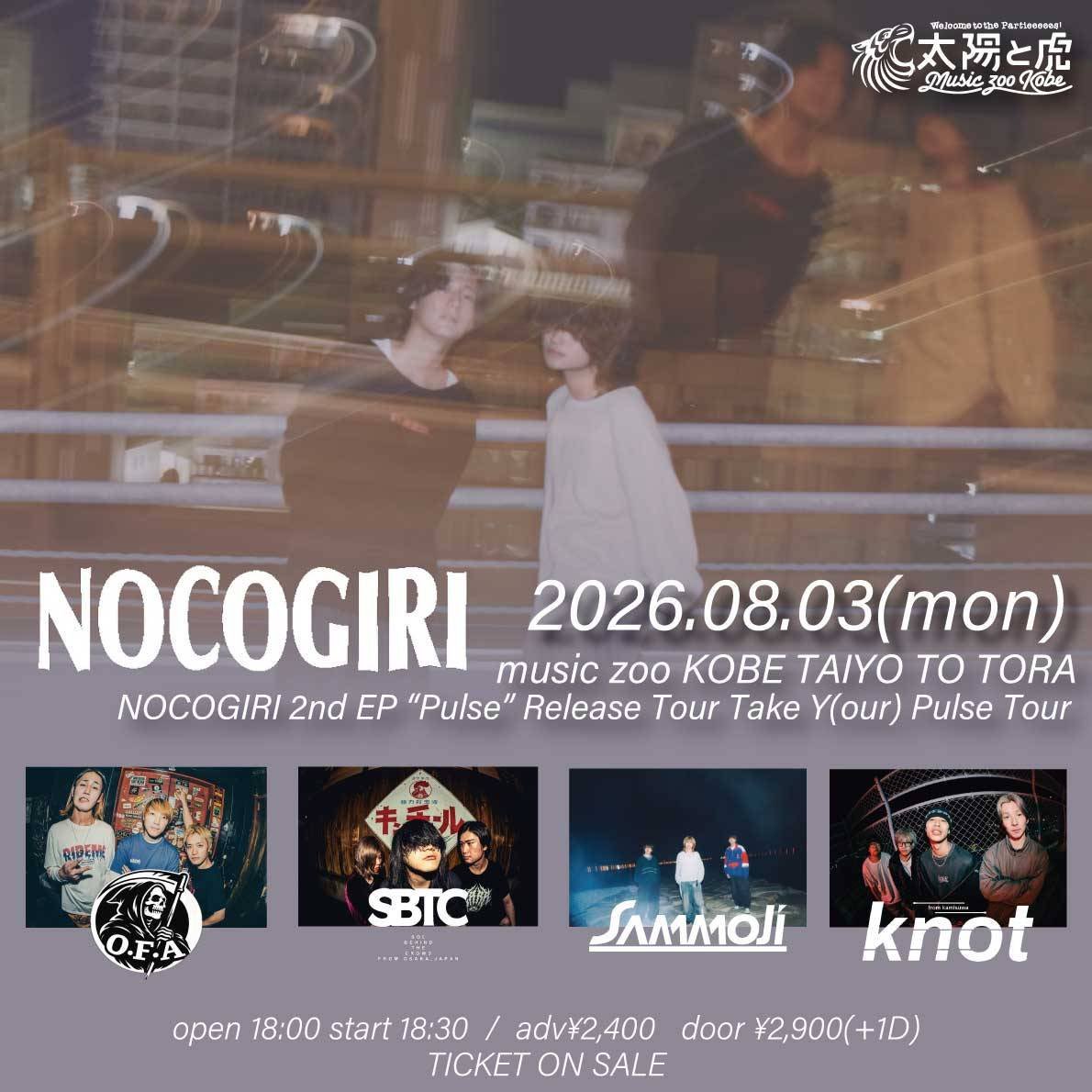 NOCOGIRI (@Nocogiri__gunma) / Posts / X