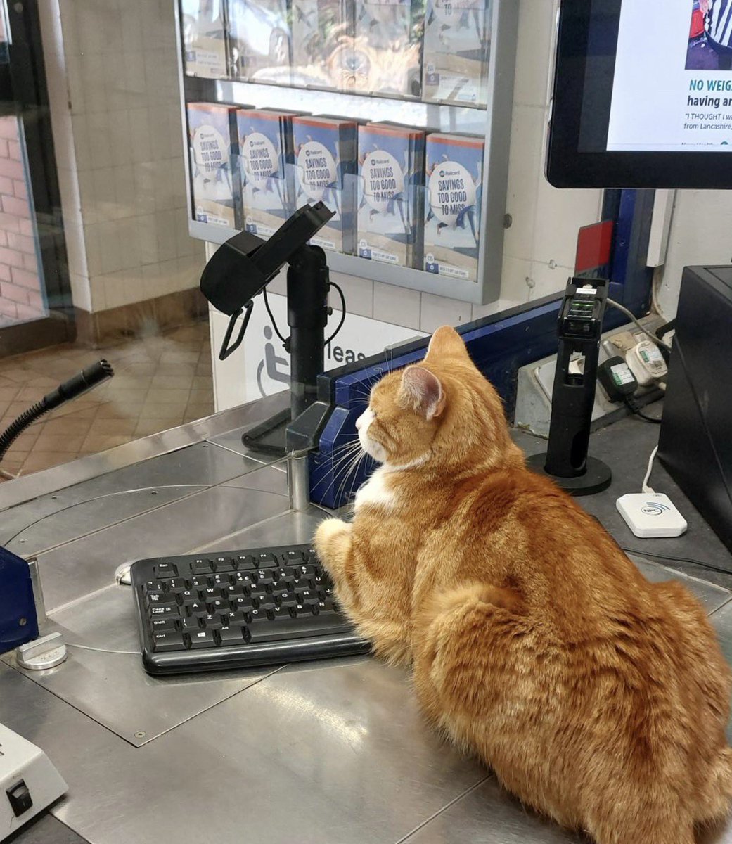 TheStourbridge's tweet photo. CUSTOMER NOTICE:
This ticket office is now CASHLESS.

We are also CARDLESS.

PAYMENT IN TREATOS ONLY. 🐟🐾

Management apologises for absolutely nothing.

*I am the management https://t.co/DyQHP7J30X