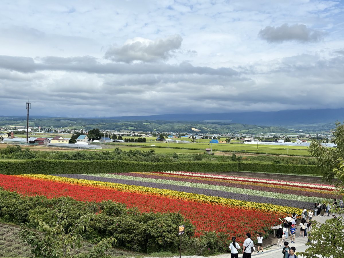 yoshi_3333's tweet photo. ふらーの https://t.co/tDdtKGc4q9