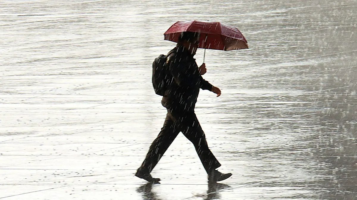 libreexpresionR's tweet photo. 🌦️🌡️ Sonora enfrentará un fin de semana con lluvias fuertes... y calor extremo.

El Servicio Meteorológico Nacional pronostica lluvias muy fuertes para el sureste del estado, mientras que en el oeste y noroeste continuarán las temperaturas superiores a 45 °C por la persistencia de la onda de calor.

Además, se esperan rachas de viento de hasta 70 km/h, por lo que autoridades recomiendan extremar precauciones ante posibles encharcamientos, crecidas de arroyos, caída de ramas y reducción de visibilidad en carreteras.

📲 Consulta el pronóstico completo y toma tus precauciones. https://t.co/Za2y4HRTvm

@AlanJair95 @alexgarciarosas @AmeyalliBuelna @anabelgarcial @angiemunoz79 @anuoa @arietecaborca @ariel_noriega @Armando_Alcala @arodriguezt01 @beckerg123 @CalvinVS @CANACINTRA_Obr @CapJavierEnrikz @CARLOSEES @CDEPRISonora @cluadiacano @contreras_p1 @CManuelVO @lindafelix2024 @ogarzon13 @arturo_dte @russocamou @Johnny78491950 @MiguelSesmaQ @libera_radio @AlcarazSheila @invistio @JoseUrquijoR @ramonleonjr @hebalperes @PepeAncona1 @juanpu21 @Elparaclito