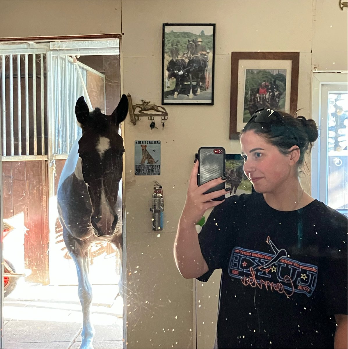 smorgan357's tweet photo. fuck it mirror selfie with da horse https://t.co/UfnTAdCINo