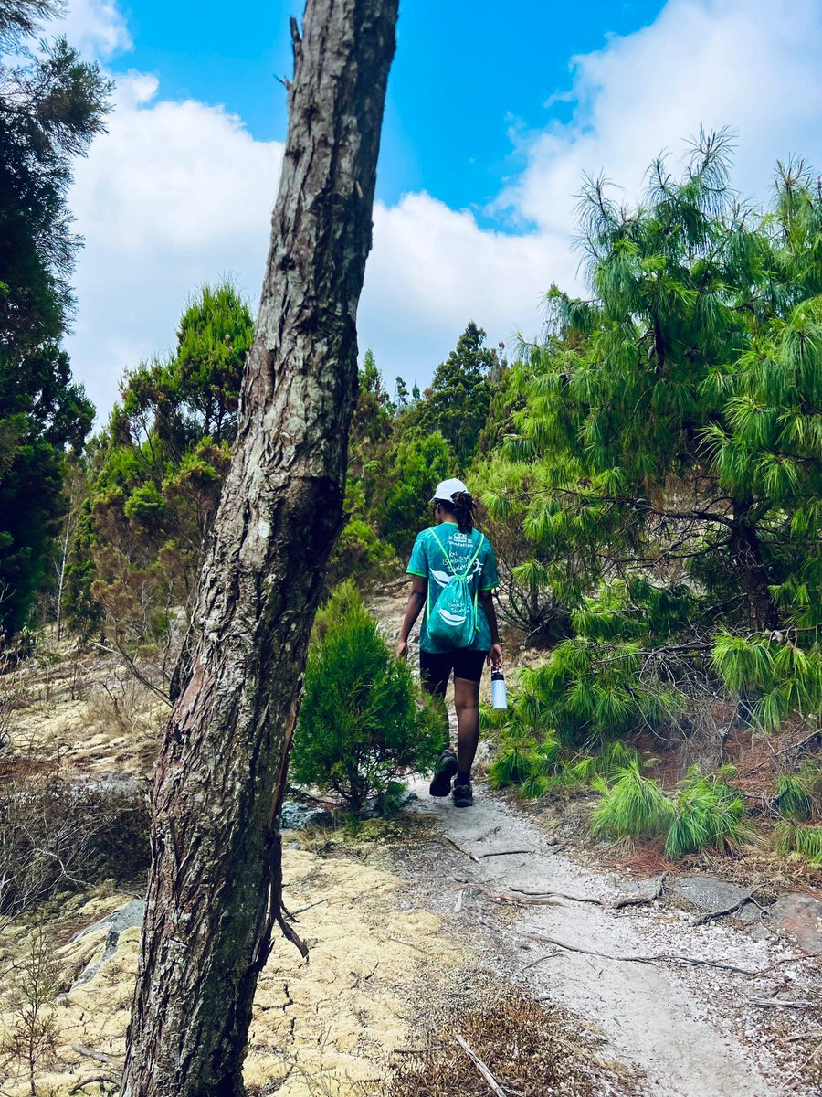 irakoze____'s tweet photo. Hiking through #Heha was enjoyable but the way trees are cut down is a no no for me
Road to #Kilimanjaro with @CRDBbankBurundi https://t.co/LEHkHIa5Cj