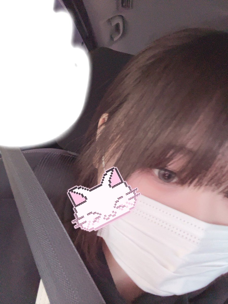 Honochanjc's tweet photo. この時間からぬーちゃんとグループ調教するよー❤︎❤︎素直に命令聞けるまぞくんおいで❤︎❤︎フォローかいいねしてくれたらDMお迎え行くね❤︎

@nununu7438

#貢��マゾ #貢ぎ奴隷  #M男  #S女 https://t.co/RnoBYVjKv5