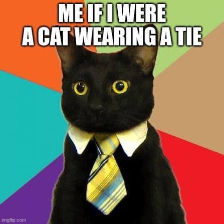 peteyskeety954's tweet photo. @yourcryptodj $CorpCat don’t fade this little business cat!!

Ca

Dpvi9kLaGGZfxHgTVhYqiZ5GaRfken5DRSKHYFrcpump

@business_cat69 #solanameme https://t.co/hE4mJ002xi