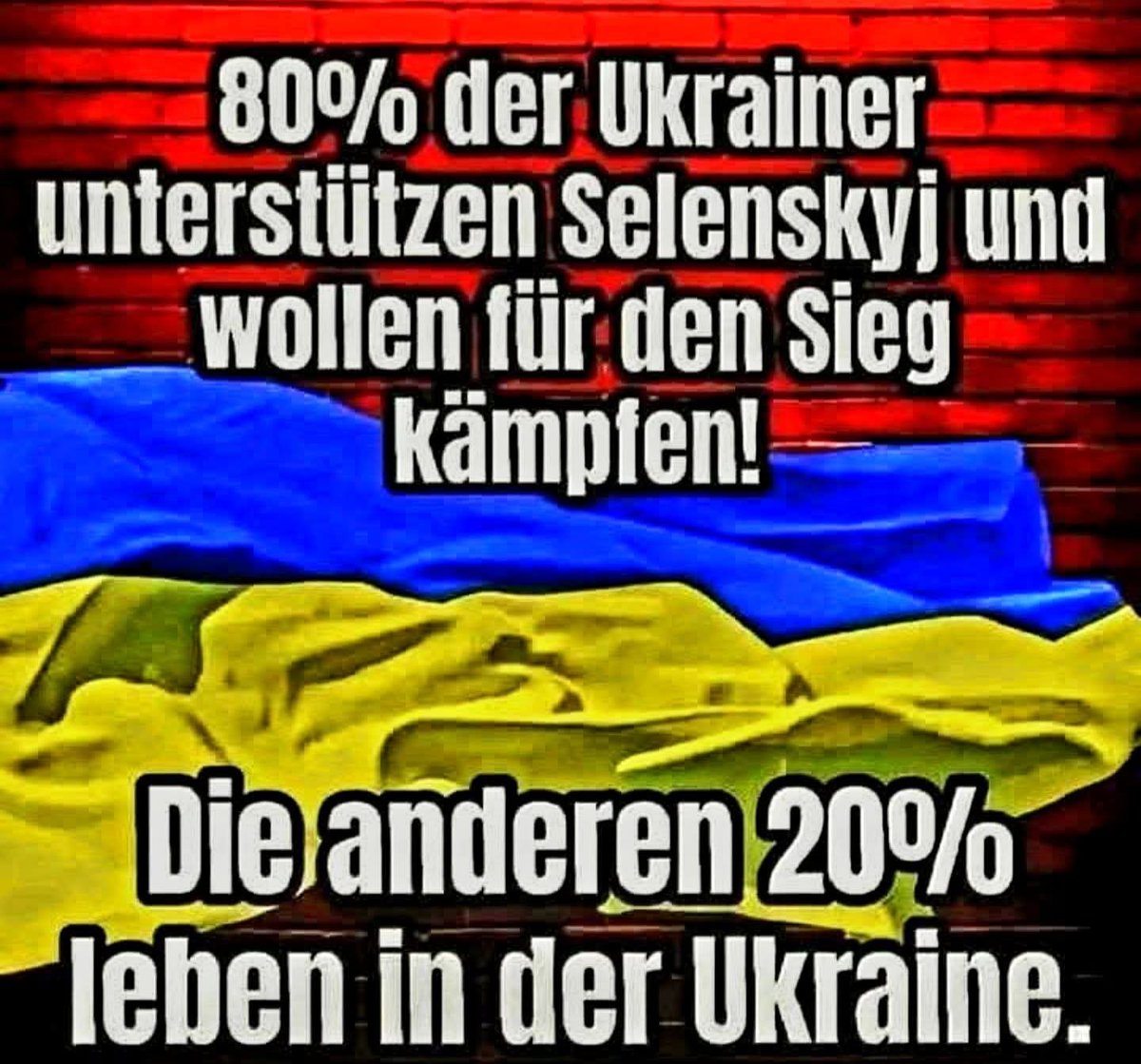 Sabinebli's tweet photo. https://t.co/kqkktDxuMq