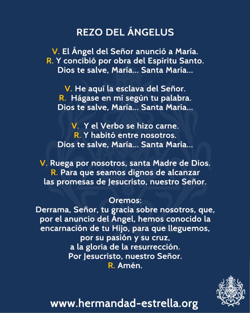 hdadlaestrella's tweet photo. Áɴɢᴇʟᴜs

El Ángel del Señor anunció a María.
R. Y concibió por obra del Espíritu Santo.
V. He aquí la esclava del Señor.
R. Hágase en mí según tu palabra.
V. Y el Verbo se hizo carne.
R. Y habitó entre nosotros.
Dios te salve, María...

📷 @_ManuelFdez 

#LaEstrella #Ángelus https://t.co/te8Q3mU05K