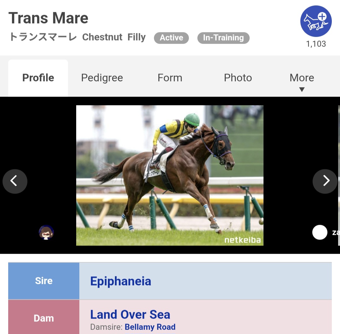 KDnotKDA's tweet photo. TRANS MARE 🏳️‍⚧️ is racing in tomorrow's Niigata R8! https://t.co/ADpP97FlLV