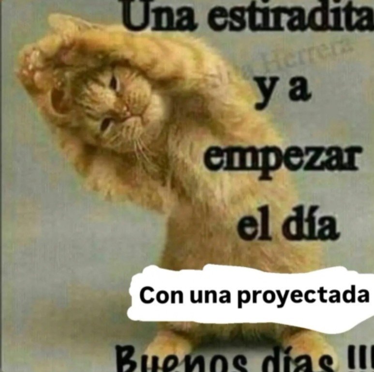 7Swordjo____'s tweet photo. hola https://t.co/sMiM4BiC7f