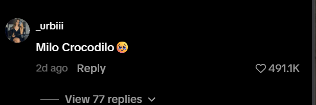 lildev48's tweet photo. Milo is sending right now 

BUT ITS SPELT WRONG???

ITS CROCODILO NOT COCODILO????

check the comment linked here

https://t.co/rshoLlUuwr https://t.co/7CwPfQopKf