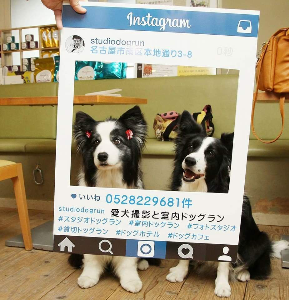atomutosima's tweet photo. 懐かしい写真✨ https://t.co/mocarl4Wey
