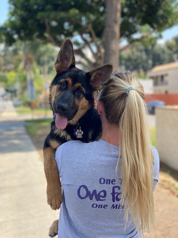 Katepawszyln's tweet photo. Some souls don't need words—they just walk beside you.
Side by side, through every season. 🌿🐶
Click the link to join my telegram group 👇🏻 
https://t.co/COafJw4MdC https://t.co/sZaOTKENPJ