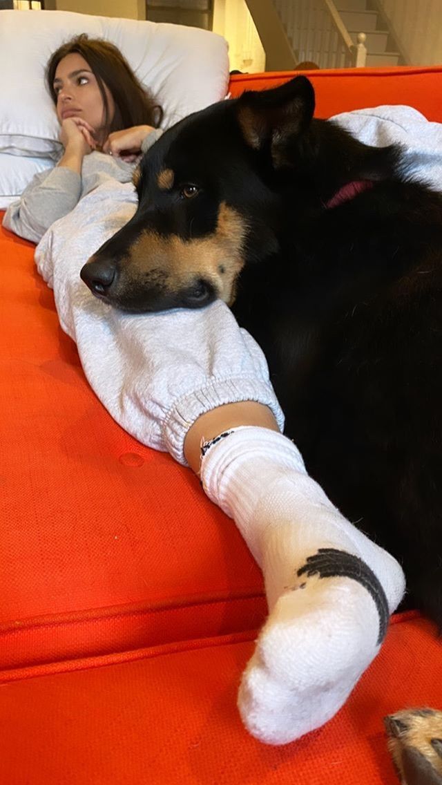 Katepawszyln's tweet photo. No matter where life takes us, we'll always have each other. ❤️🐕
Join my telegram group to catch the fun 👇🏻
https://t.co/COafJw4MdC https://t.co/TcLzioaihk