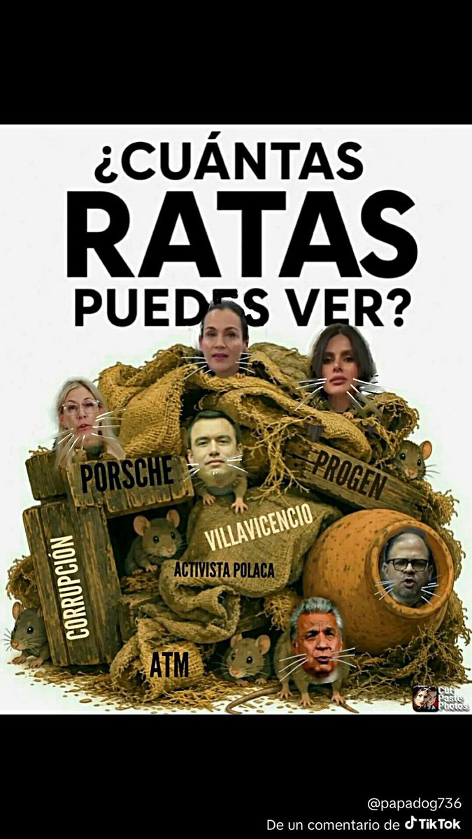 pabloavila01's tweet photo. @kaplah @eluniversocom Rebuznador 🧌 https://t.co/GqgOuIrtxM