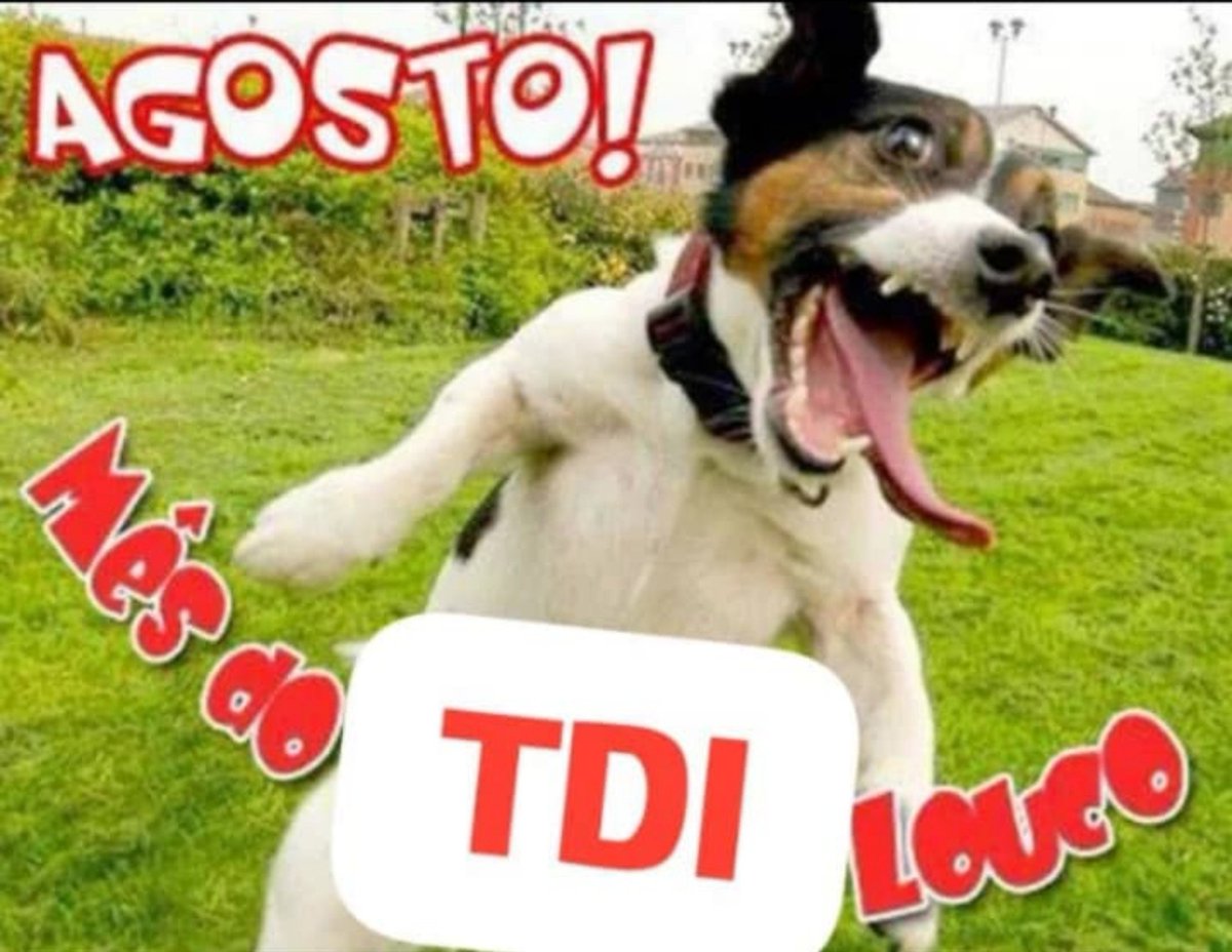 zainaomitou's tweet photo. A imagem que me mandaram https://t.co/vhgkCvGiN0