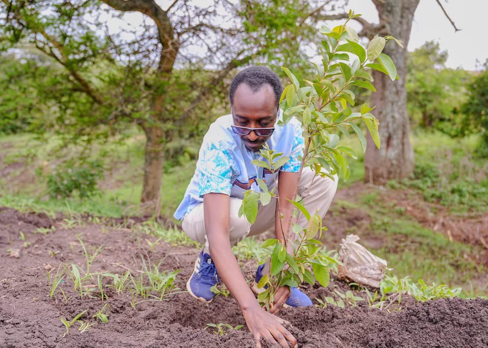 MFAEthiopia's tweet photo. The Ministry of Foreign Affairs, together with the leadership and staff of its affiliated institutions, joined ambassadors of neighboring countries and members of the Ethiopian diaspora in this year's Green Legacy Initiative by carrying out a tree-planting program in Bishoftu.

The tree-planting campaign was officially launched by the Minister of Foreign Affairs, Gedion Timothewos. The event was attended by State Ministers Ambassador Hadera Abera and Ambassador Berhanu Tsegaye, alongside ambassadors of neighboring countries, members of the diplomatic corps, and Ministry staff.

A total of 4,063 fruit tree seedlings were planted during the initiative, contributing to environmental sustainability while supporting food security. The initiative also complements Ethiopia's preparations for hosting the 32nd United Nations Climate Change Conference (COP32). As Bishoftu is expected to serve as an additional accommodation hub for the large number of international delegates who will travel to Ethiopia for the conference, the tree-planting campaign will help enhance the city's greenery, cleanliness, and attractiveness, particularly along its major access roads. This, in turn, will further strengthen Ethiopia's positive image on the international diplomatic stage.