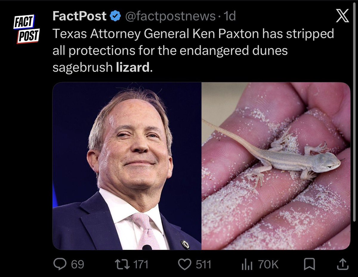 RodeoProfessor's tweet photo. You are guaranteed to become dumber about wildlife if you read FactPost. It’s outrageous what they put out here, and it makes it harder for actual conservationists to advocate for species protections. 

Under Biden and Inteior Sec Deb Haaland The Fish and Wildlife Service listed the dune sagebrush lizard as endangered for two main reasons. They said its habitat in the Permian Basin, specifically shinnery oak, could not be restored after well pads/roads were put in by oil and gas, which just isn’t true, they just declared it so. The second reason to list the lizard, of course, was climate change (Biden). 

But in court, the Fish and Wildlife Service admitted two glaring omissions in its own work: failure to consider the state of Texas’ Conservation Plan and the additional conservation agreements with private industry and landowners called “Candidate Conservation Agreement with Assurances.” These are extremely robust conservation efforts, and they weren’t even included when deciding whether to list the lizard. They do things like requiring oil and gas to avoid high quality habitats, minimize impacts and reclaim certain ecological impacts, and pay for research/monitoring. 

The FWS, when deciding to list a species as endangered must consider what a state is already doing and any additional private land or industry led conservation mitigation, these were ignored in the listing. 

There was also a glaring lack of range wide population data so everything was based on a habitat model, when FWS itself conceded the lizard still occupied much of its historical range and could persist for decades as is. Also, the FWS ruling gave no guidance to oil and gas, agencies, land owners etc about permissible land use, leasing, well plugging, ranching, pesticides, any uses at all. 

This whole mess is due to nothing other than the Biden Admin’s war on domestic oil and gas development in the Permian Basin. Say what you will about libs but man do they punish their enemies (even it if means previously apolitical science-based agencies like the FWS are now viewed with suspicion).