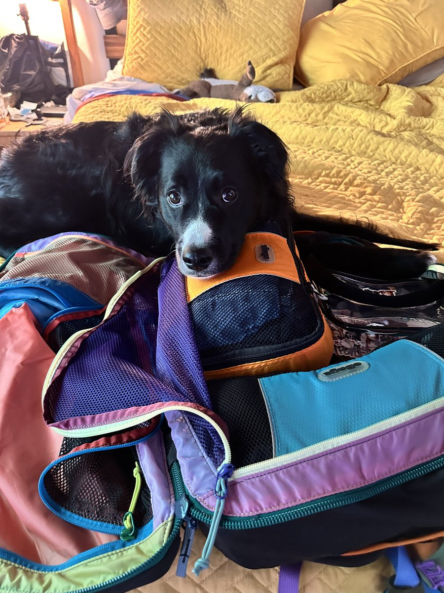 pupletters's tweet photo. Best Mom Friend is in Portland for two and a half sleeps!!!!!! I tried to not let her go. It didn’t work. https://t.co/ubU1akX19L