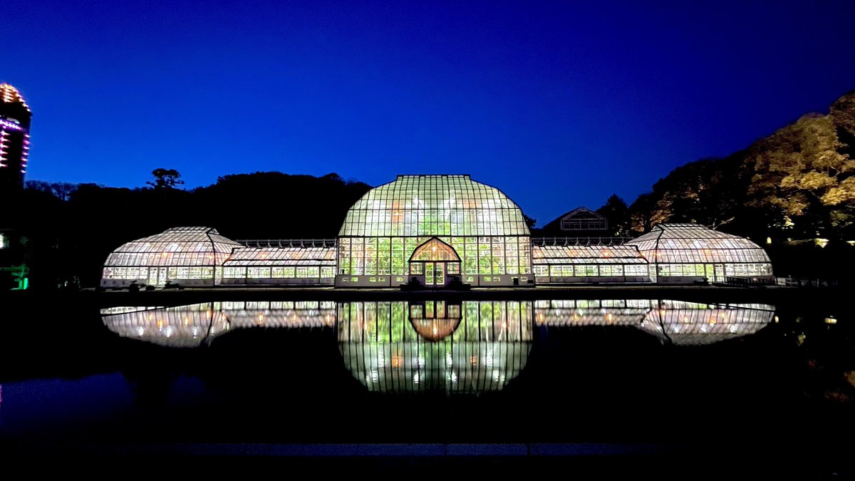 oinagoya's tweet photo. 重要文化財に指定されている名古屋市東山動植物園の温室前館は
かつて東洋一の水晶宮と称された、国内現存最古の公共温室。

夜間ライトアップの際には、さらに美しく水面に反射します✨ https://t.co/b5nQMrdDjN