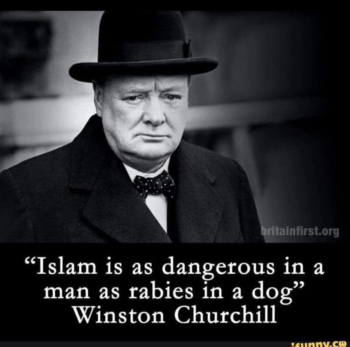 ProudDaneSaxon's tweet photo. https://t.co/xjMCfauXyO