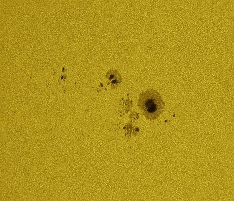 AstroMontseny's tweet photo. EL SOL CAPTAT AQUEST MATÍ AMB FILTRE D'HIDROGEN ALFA I CONTINU per Pau Montplet i Sanz
@AstroBreda. Fetes amb refractor 150 F8, Càmera Player One Apollo-M Max i Daystar Quark Chromosphere per les imatges H-Alpha. Mostren les taques i protuberàncies amb extraordinari detall
🤩🌞👇 https://t.co/wICHIuHQ7D