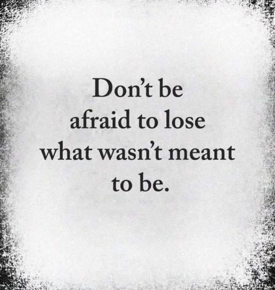 JeanBear1's tweet photo. https://t.co/wcUsxYsF3c