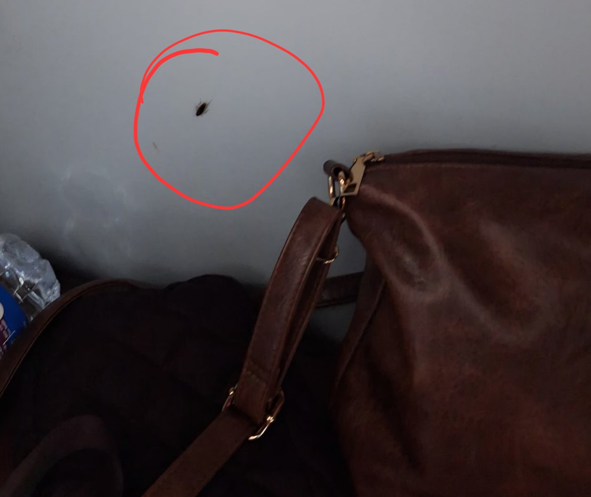 avsar22's tweet photo. Two different trains. Same infestation.

28 Jul, 18426 Durg–Puri: cockroaches, mosquitoes, unclean toilet, soiled pillow covers, AC failure at midnight, 5 hrs late.

1 Aug, 12843 Puri–Ahmedabad SF: cockroaches again — photo attached. Mosquitoes biting throughout.

Both ECoR. Both Puri-based rakes. Both AC coaches.

This is a depot-level pest control failure, not one bad coach.

Travelling with children and senior citizens.

@RailMinIndia @AshwiniVaishnaw @RailwaySeva @EastCoastRail
PNR: 6307359084   | Coach: A1