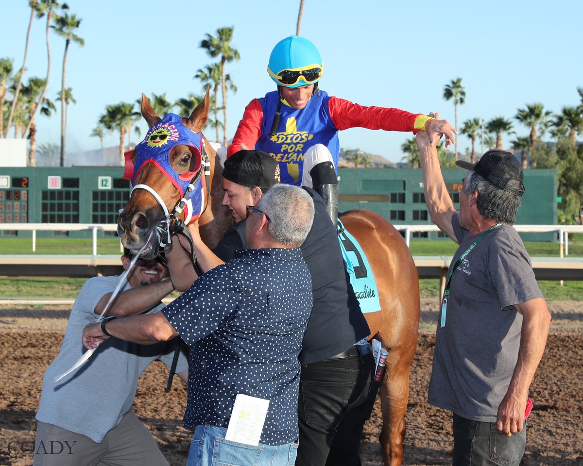 turf_paradise's tweet photo. 🏇 Turf Through Time

Speed.
Power.
Heart.

The Phoenix Gold Cup has become one of the most prestigious races ever run at Turf Paradise.

Every edition adds another chapter to Arizona racing history.

Champions have been crowned.

Careers have been launched.

Fans have witnessed finishes they'll never forget.

The next great story is always just one race away.

📸 2026 winner DISTANT FLEET