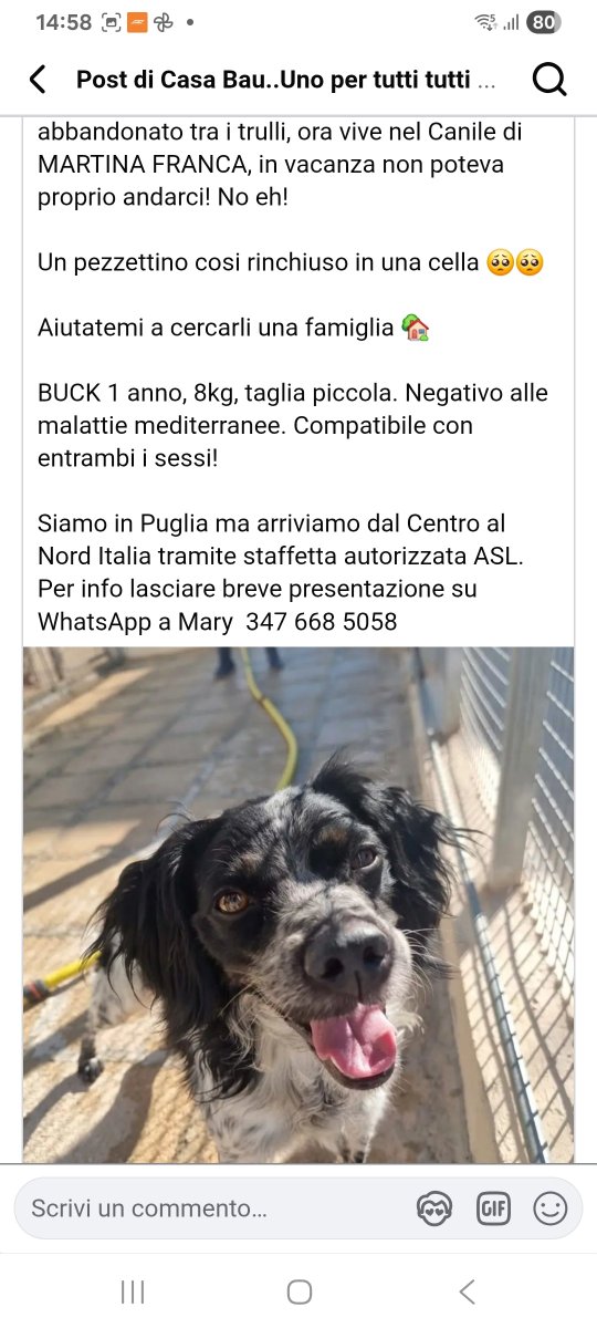 annina_cutillo's tweet photo. https://t.co/IEiVXLsaW1