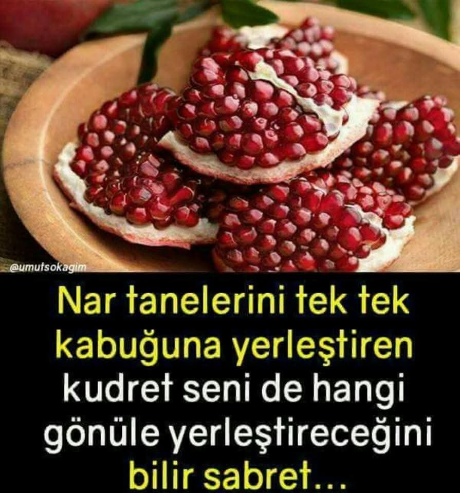 ERKANfpcq's tweet photo. @KARATAS01453 https://t.co/4DG7iXh2wo