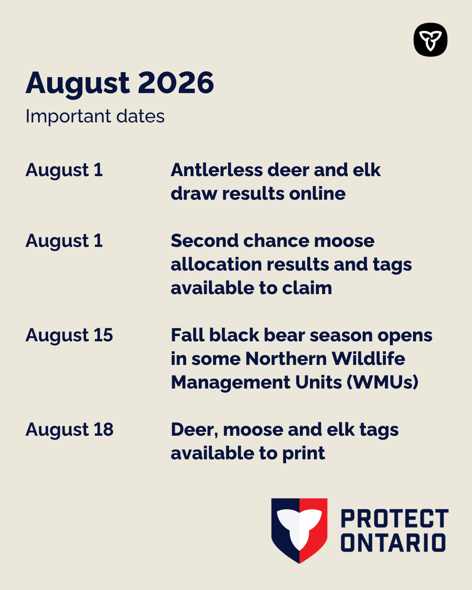 FishWildlifeON's tweet photo. Ready for August? Here’s some key dates to keep on your radar:

• August 1: Antlerless deer and elk draw results online
• August 1: Second chance moose allocation results available and tags available to claim 
• August 15: Fall black bear season opens in some Northern Wildlife Management Units (WMUs)
• August 18: Deer, moose and elk tags available to print

Reminder: August can bring early salmon runs; follow regulations and review https://t.co/crlY3qbllo.

To buy licences, claim and print tags, or view draw results, visit https://t.co/L6qRCQB9AU.