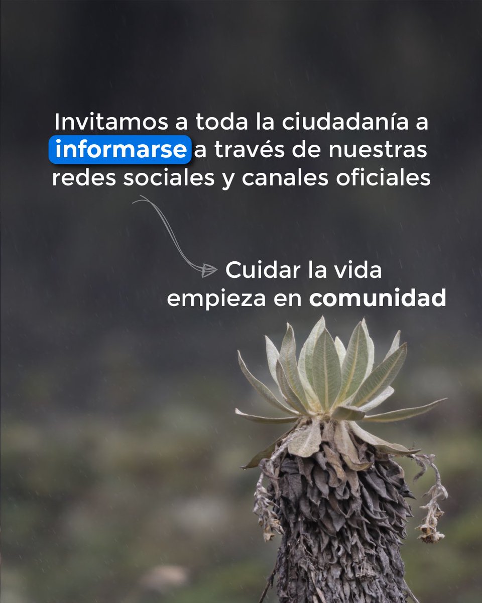 GobCauca's tweet photo. 📣 Evite compartir noticias falsas y mantenerse atento a los canales oficiales.

👉🏻 Estaremos enviando reportes sobre las diferentes medidas que las autoridades competentes adopten.

#LaFuerzaDelPueblo 💪🏽 https://t.co/pkFIVeYzzs